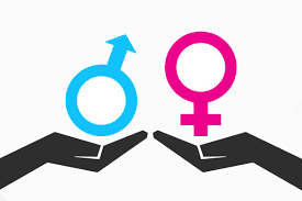 male female.png, 6 KB